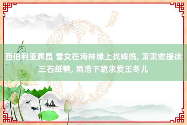 西伯利亚属鼠 雪女在海神缘上找姆妈， 萧萧救援徐三石纸鹤， 雨浩下跪求爱王冬儿