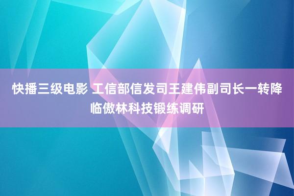 快播三级电影 工信部信发司王建伟副司长一转降临傲林科技锻练调研