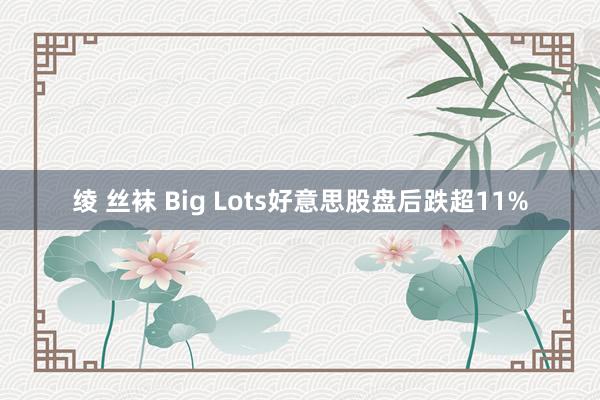 绫 丝袜 Big Lots好意思股盘后跌超11%