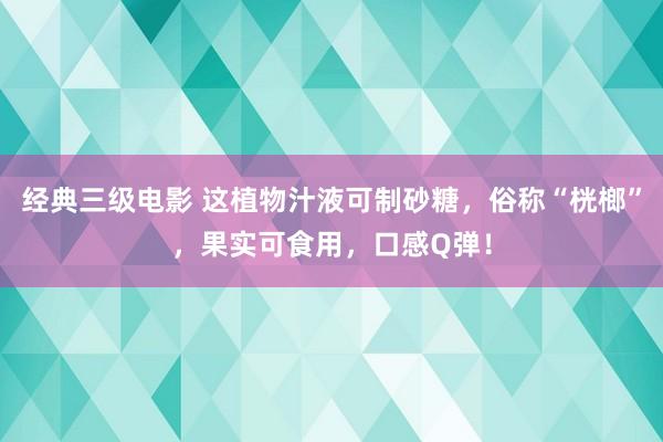 经典三级电影 这植物汁液可制砂糖，俗称“桄榔”，果实可食用，口感Q弹！