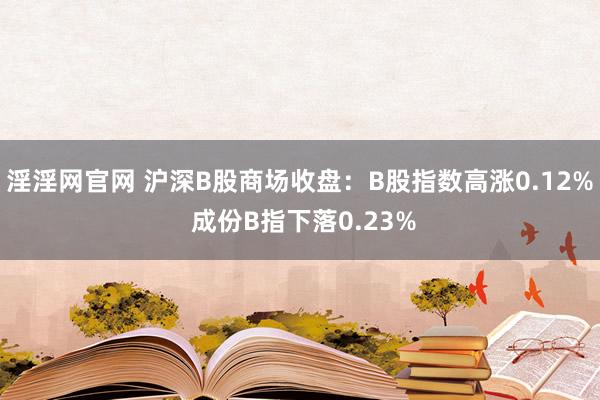 淫淫网官网 沪深B股商场收盘：B股指数高涨0.12% 成份B指下落0.23%