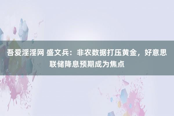 吾爱淫淫网 盛文兵：非农数据打压黄金，好意思联储降息预期成为焦点