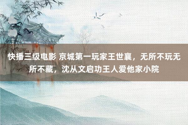 快播三级电影 京城第一玩家王世襄，无所不玩无所不藏，沈从文启功王人爱他家小院