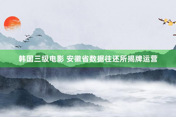 韩国三级电影 安徽省数据往还所揭牌运营