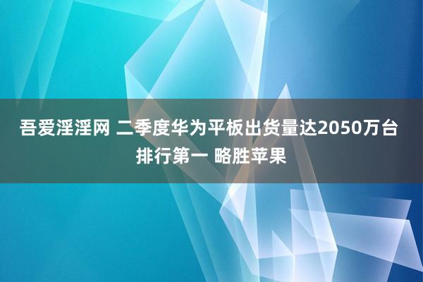 吾爱淫淫网 二季度华为平板出货量达2050万台 排行第一 略胜苹果