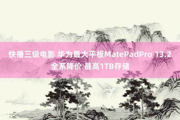 快播三级电影 华为最大平板MatePadPro 13.2全系降价 最高1TB存储