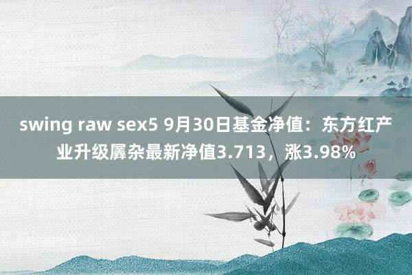 swing raw sex5 9月30日基金净值：东方红产业升级羼杂最新净值3.713，涨3.98%