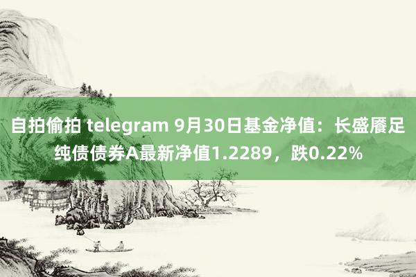 自拍偷拍 telegram 9月30日基金净值：长盛餍足纯债债券A最新净值1.2289，跌0.22%