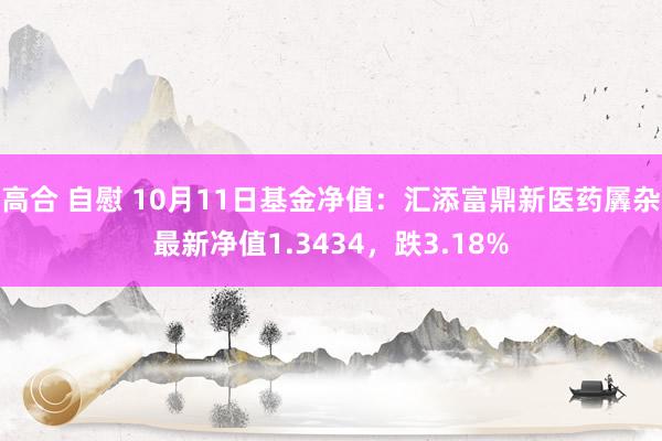 高合 自慰 10月11日基金净值：汇添富鼎新医药羼杂最新净值1.3434，跌3.18%