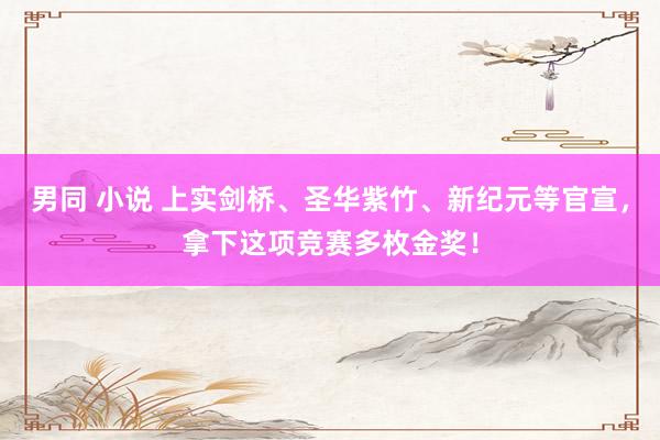 男同 小说 上实剑桥、圣华紫竹、新纪元等官宣，拿下这项竞赛多枚金奖！