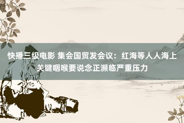 快播三级电影 集会国贸发会议：红海等人人海上关键咽喉要说念正濒临严重压力