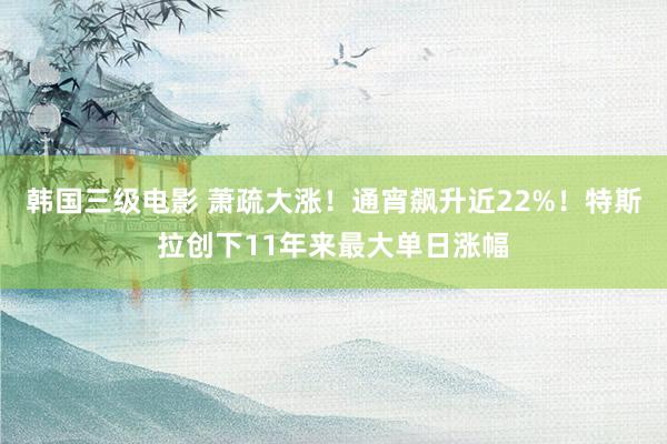 韩国三级电影 萧疏大涨！通宵飙升近22%！特斯拉创下11年来最大单日涨幅