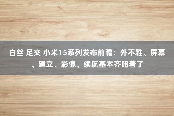 白丝 足交 小米15系列发布前瞻：外不雅、屏幕、建立、影像、续航基本齐昭着了