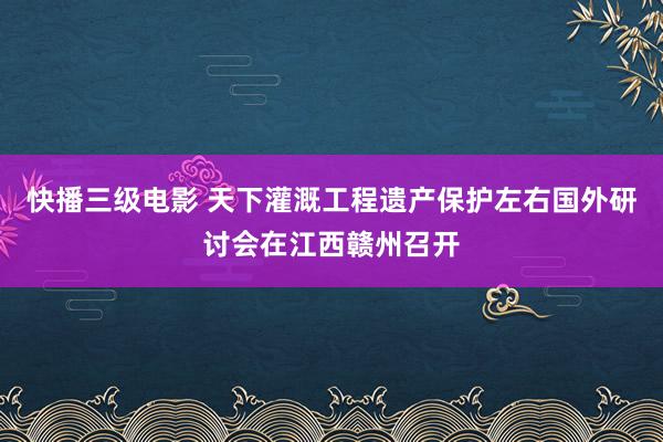 快播三级电影 天下灌溉工程遗产保护左右国外研讨会在江西赣州召开