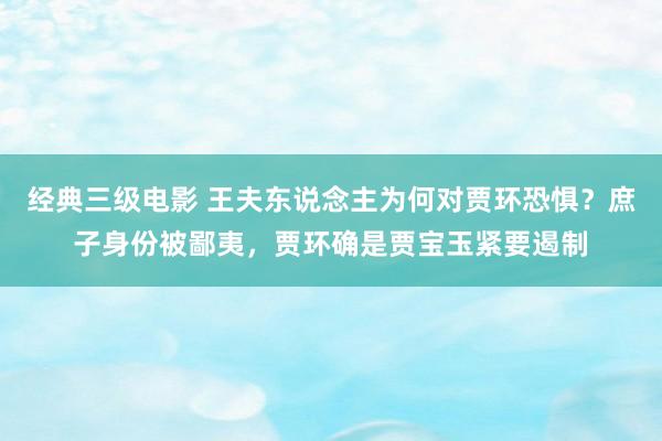 经典三级电影 王夫东说念主为何对贾环恐惧？庶子身份被鄙夷，贾环确是贾宝玉紧要遏制