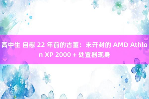 高中生 自慰 22 年前的古董：未开封的 AMD Athlon XP 2000 + 处置器现身