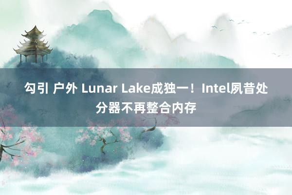 勾引 户外 Lunar Lake成独一！Intel夙昔处分器不再整合内存