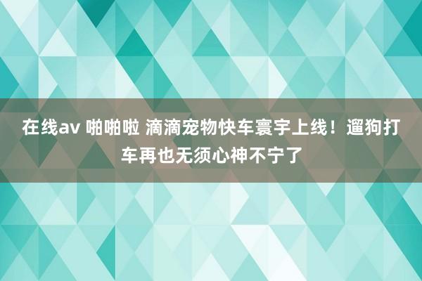 在线av 啪啪啦 滴滴宠物快车寰宇上线！遛狗打车再也无须心神不宁了