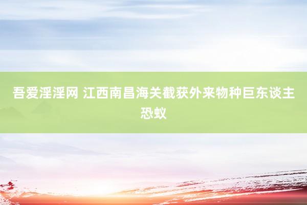 吾爱淫淫网 江西南昌海关截获外来物种巨东谈主恐蚁