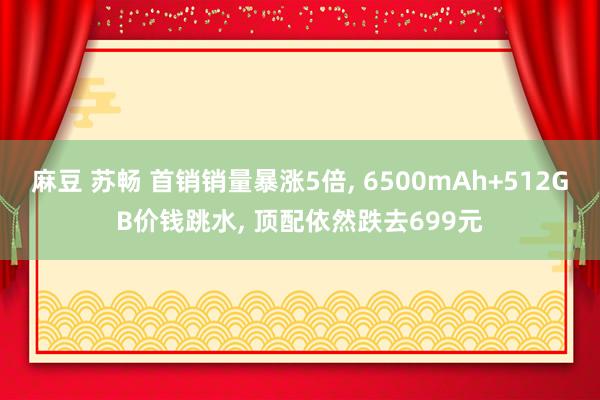 麻豆 苏畅 首销销量暴涨5倍, 6500mAh+512GB价钱跳水, 顶配依然跌去699元