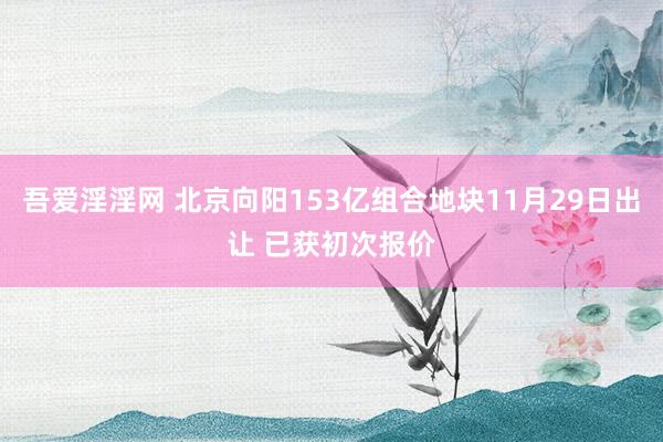 吾爱淫淫网 北京向阳153亿组合地块11月29日出让 已获初次报价