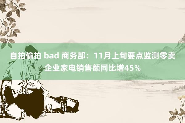 自拍偷拍 bad 商务部：11月上旬要点监测零卖企业家电销售额同比增45%