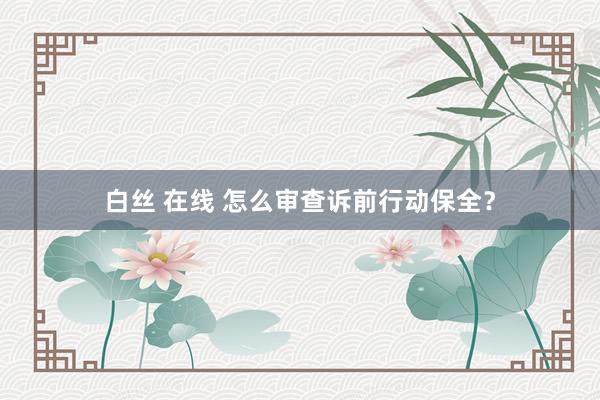 白丝 在线 怎么审查诉前行动保全？