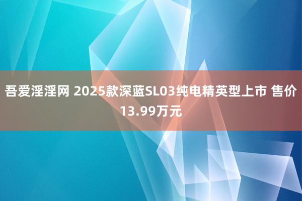 吾爱淫淫网 2025款深蓝SL03纯电精英型上市 售价13.99万元