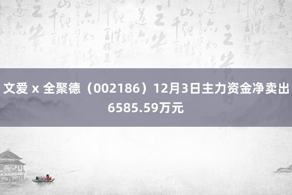 文爱 x 全聚德（002186）12月3日主力资金净卖出6585.59万元