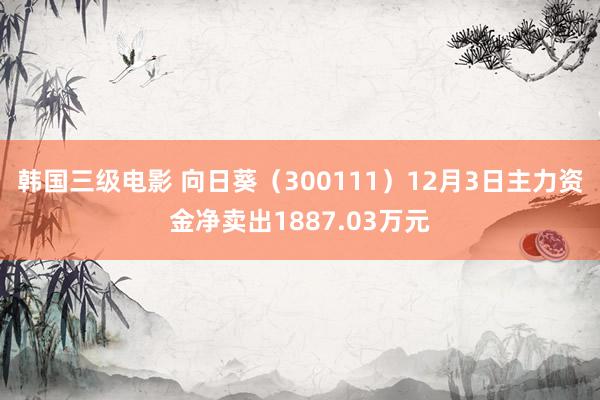 韩国三级电影 向日葵（300111）12月3日主力资金净卖出1887.03万元