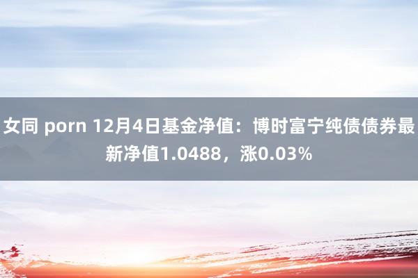 女同 porn 12月4日基金净值：博时富宁纯债债券最新净值1.0488，涨0.03%