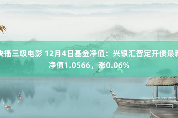 快播三级电影 12月4日基金净值：兴银汇智定开债最新净值1.0566，涨0.06%