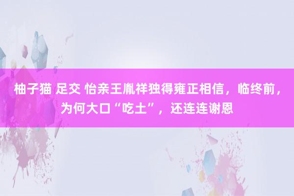 柚子猫 足交 怡亲王胤祥独得雍正相信，临终前，为何大口“吃土”，还连连谢恩