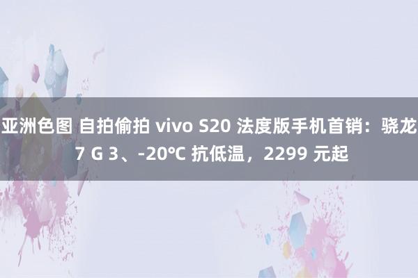 亚洲色图 自拍偷拍 vivo S20 法度版手机首销：骁龙 7 G 3、-20℃ 抗低温，2299 元起