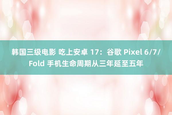 韩国三级电影 吃上安卓 17：谷歌 Pixel 6/7/Fold 手机生命周期从三年延至五年