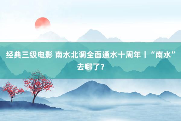 经典三级电影 南水北调全面通水十周年丨“南水”去哪了？