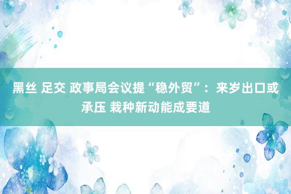 黑丝 足交 政事局会议提“稳外贸”：来岁出口或承压 栽种新动能成要道