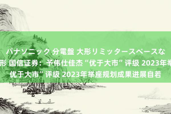 パナソニック 分電盤 大形リミッタースペースなし 露出・半埋込両用形 国信证券：予伟仕佳杰“优于大市”评级 2023年举座规划成果进展自若