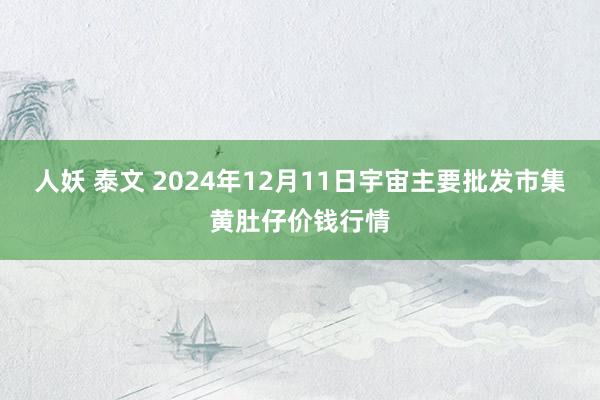 人妖 泰文 2024年12月11日宇宙主要批发市集黄肚仔价钱行情