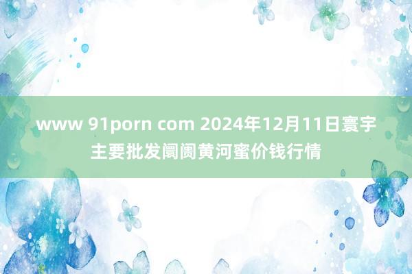 www 91porn com 2024年12月11日寰宇主要批发阛阓黄河蜜价钱行情