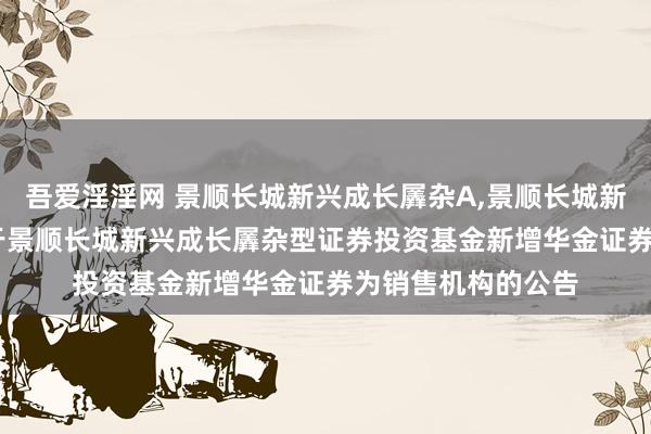 吾爱淫淫网 景顺长城新兴成长羼杂A,景顺长城新兴成长羼杂C: 对于景顺长城新兴成长羼杂型证券投资基金新增华金证券为销售机构的公告