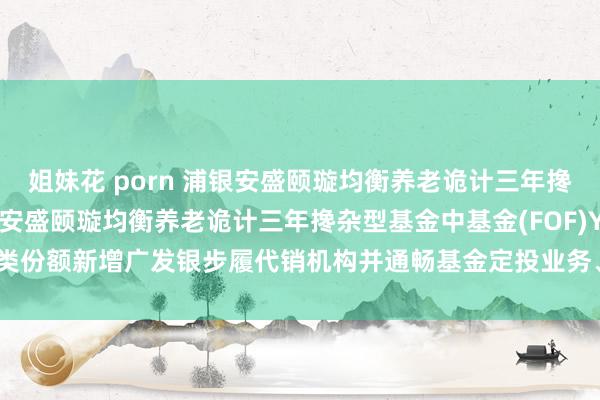 姐妹花 porn 浦银安盛颐璇均衡养老诡计三年搀杂(FOF)Y: 对于浦银安盛颐璇均衡养老诡计三年搀杂型基金中基金(FOF)Y类份额新增广发银步履代销机构并通畅基金定投业务、投入其费率优惠行动的公告