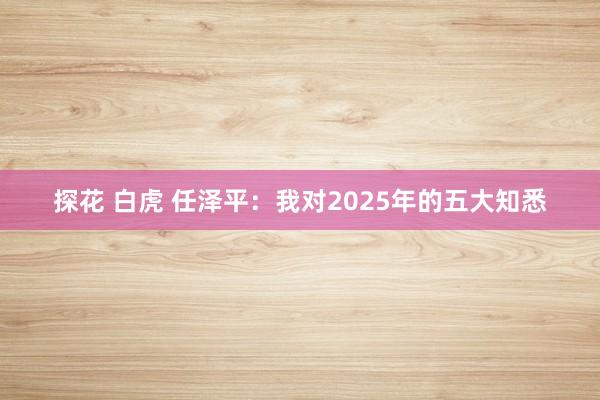 探花 白虎 任泽平：我对2025年的五大知悉