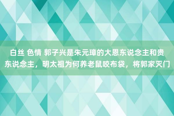 白丝 色情 郭子兴是朱元璋的大恩东说念主和贵东说念主，明太祖为何养老鼠咬布袋，将郭家灭门