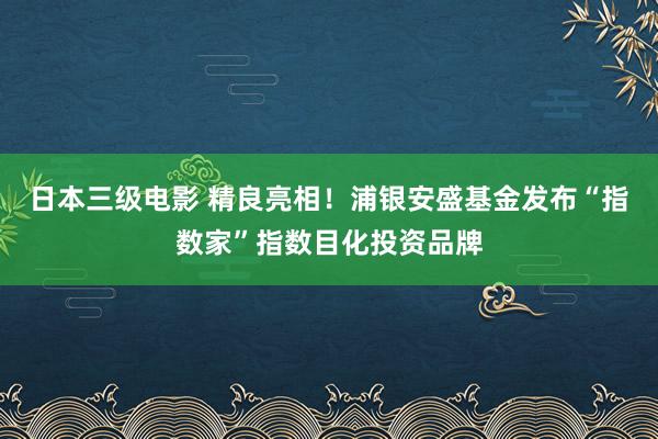 日本三级电影 精良亮相！浦银安盛基金发布“指数家”指数目化投资品牌