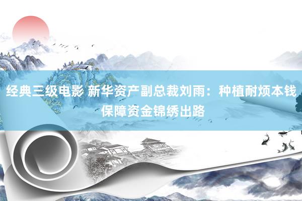 经典三级电影 新华资产副总裁刘雨：种植耐烦本钱 保障资金锦绣出路