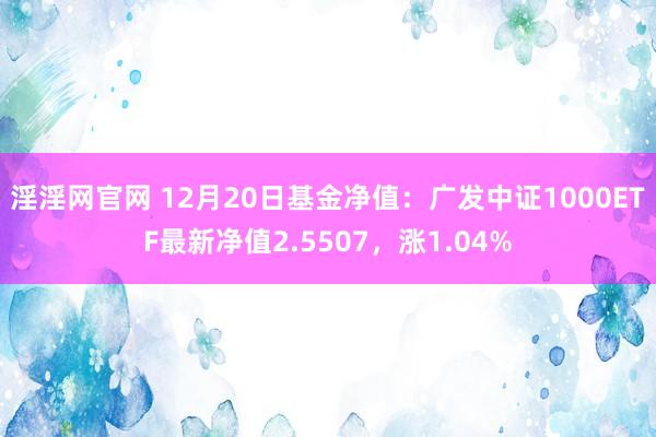 淫淫网官网 12月20日基金净值：广发中证1000ETF最新净值2.5507，涨1.04%