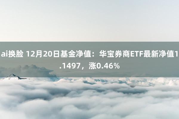 ai换脸 12月20日基金净值：华宝券商ETF最新净值1.1497，涨0.46%