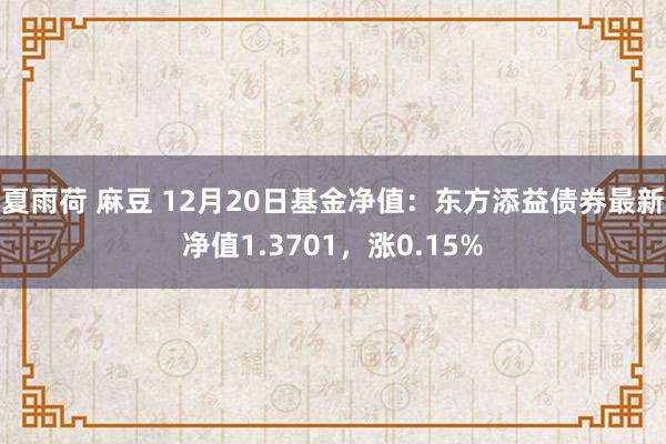 夏雨荷 麻豆 12月20日基金净值：东方添益债券最新净值1.3701，涨0.15%