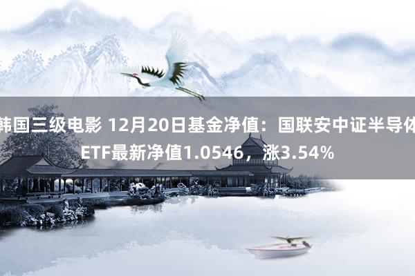 韩国三级电影 12月20日基金净值：国联安中证半导体ETF最新净值1.0546，涨3.54%